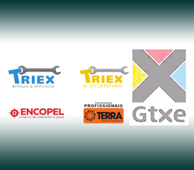 Depoimento Camila Vieira